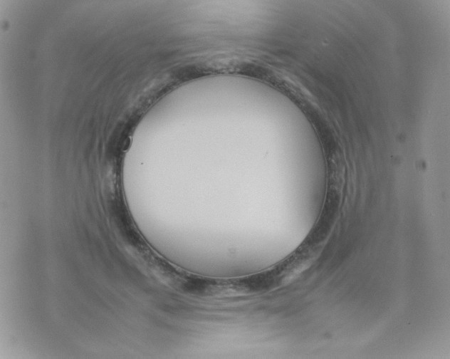 X0000074950597200609291849