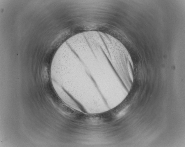 X0000074950598200609291849