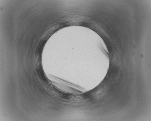 X0000074950599200609291849