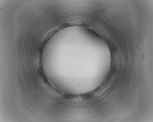 X0000074950600200609291849