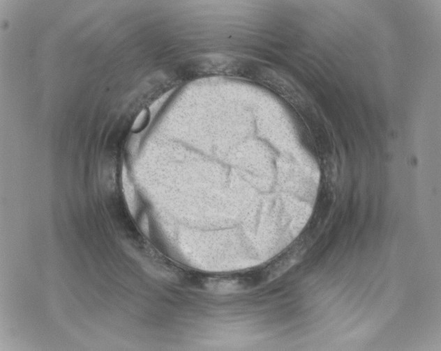 X0000074950602200609291849