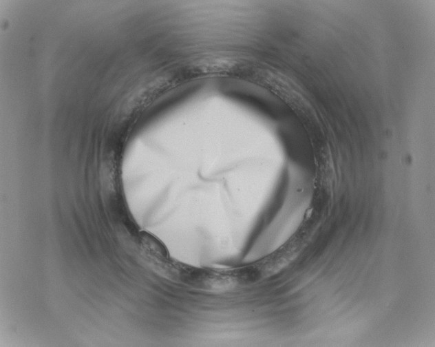 X0000074950604200609291849