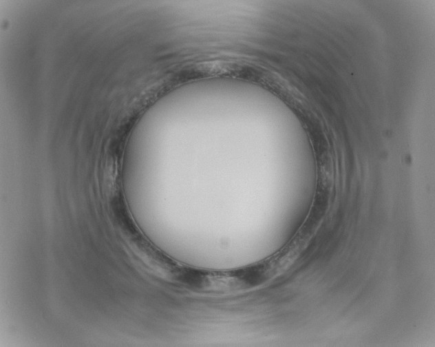 X0000074950605200609291849