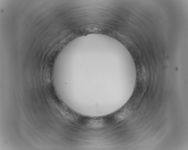 X0000074950606200609291849