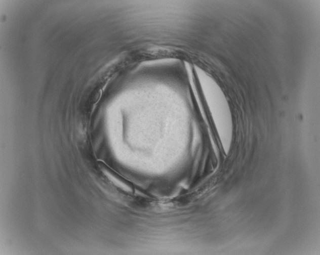 X0000074950607200609291849