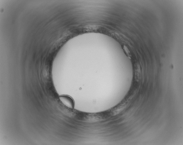 X0000074950608200609291849