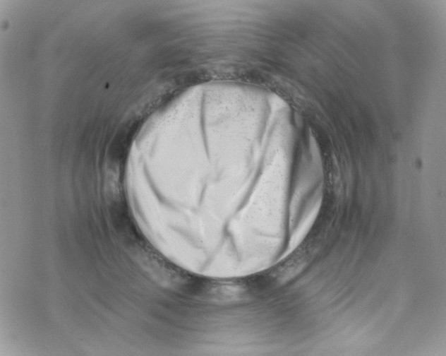 X0000074950610200609291849