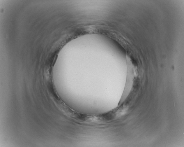 X0000074950611200609291849