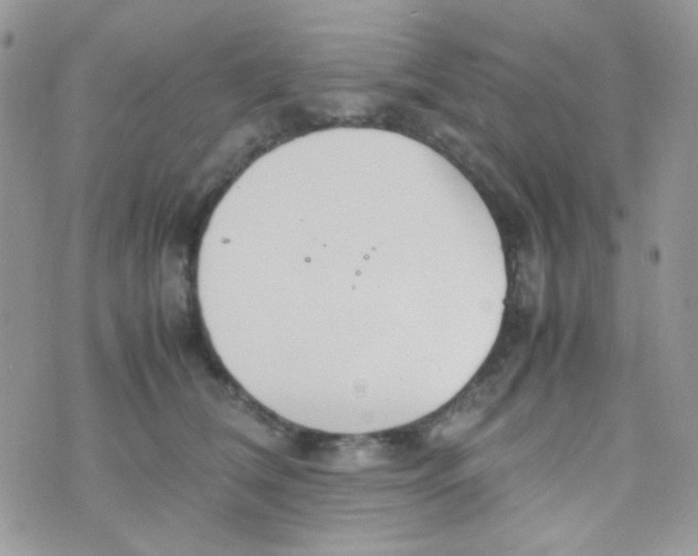 X0000074950612200609291849