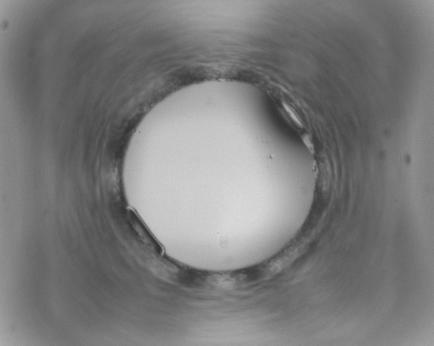 X0000074950613200609291849