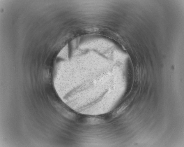 X0000074950614200609291849