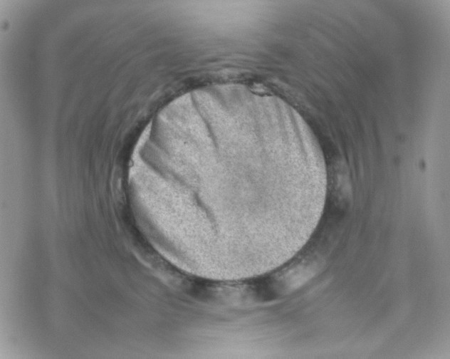 X0000074950615200609291849