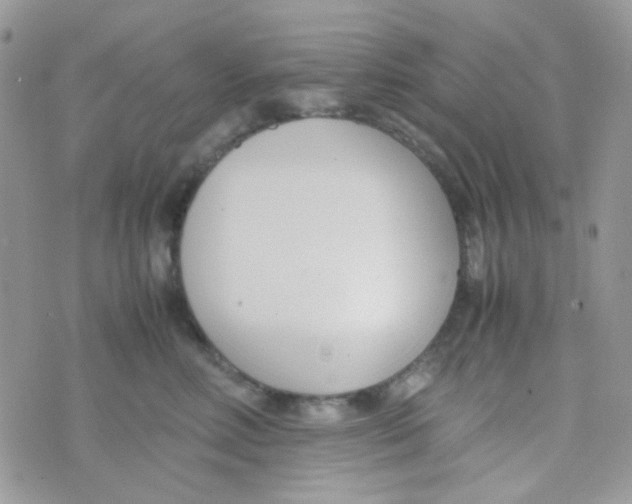 X0000074950618200609291849