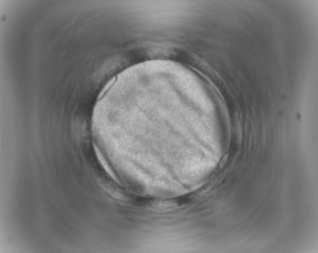 X0000074950619200609291849