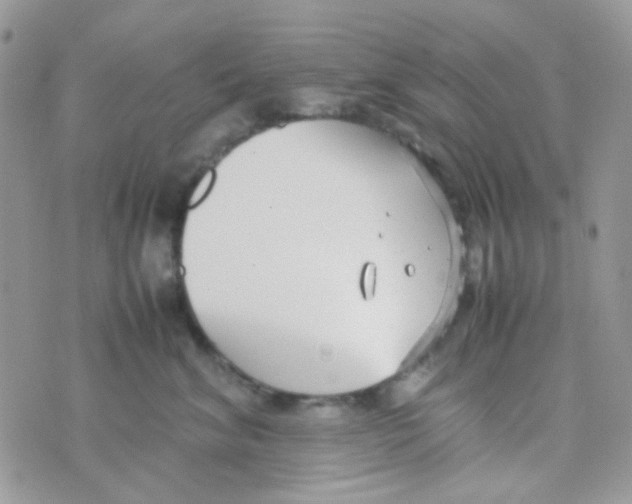 X0000074950620200609291849