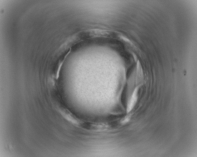 X0000074950621200609291849