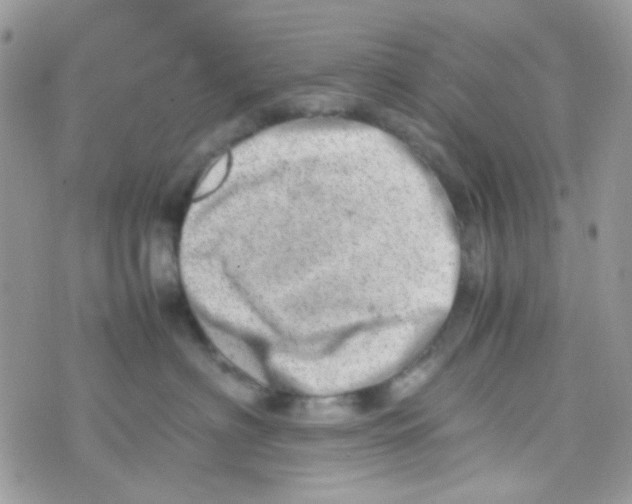 X0000074950622200609291849