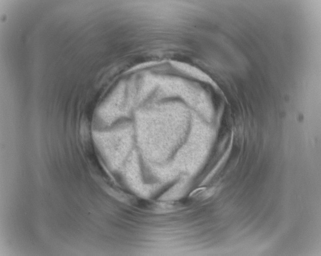 X0000074950623200609291849