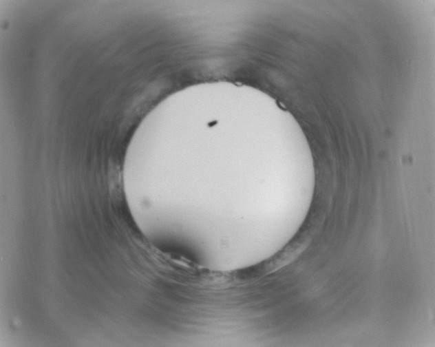 X0000074950624200609291849