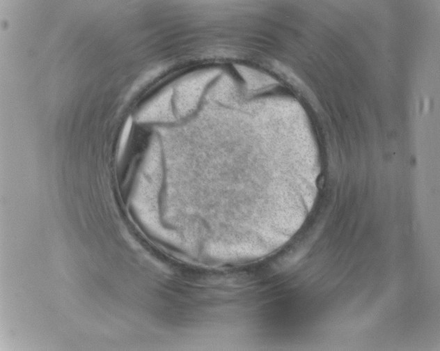 X0000074950625200609291848