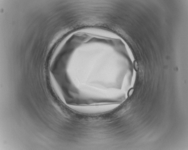 X0000074950626200609291848