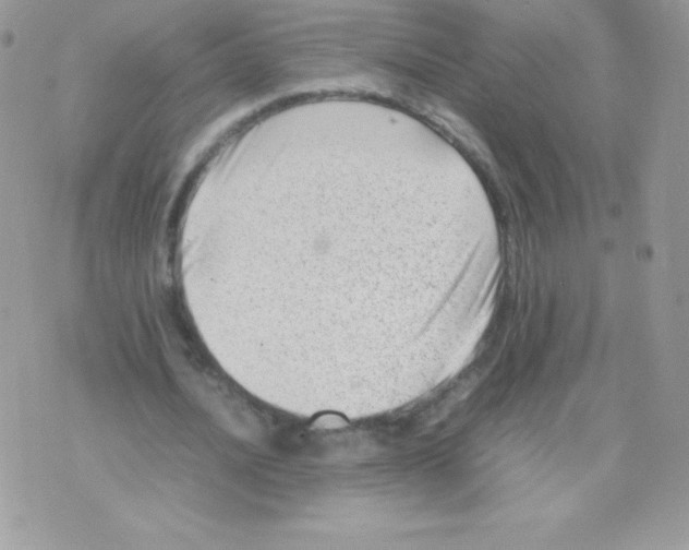 X0000074950628200609291848