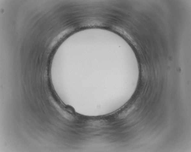 X0000074950629200609291848