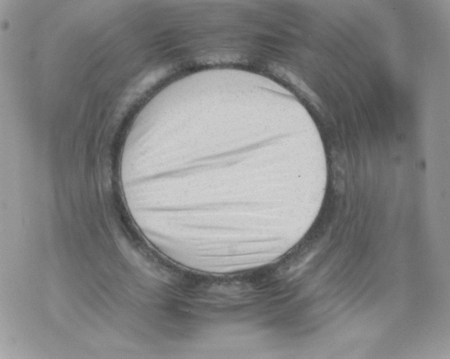 X0000074950631200609291848