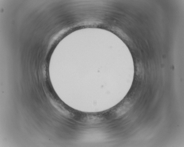 X0000074950632200609291848