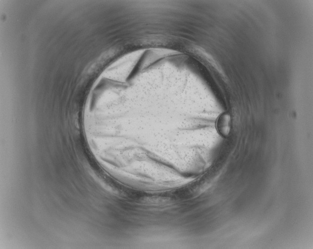 X0000074950633200609291848