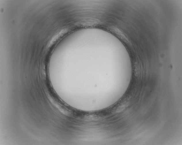 X0000074950634200609291848