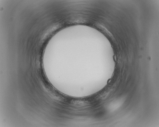 X0000074950635200609291848