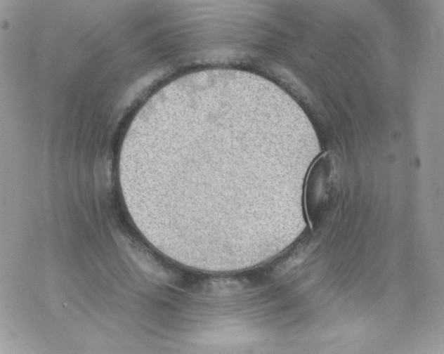 X0000074950636200609291848