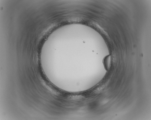 X0000074950637200609291848