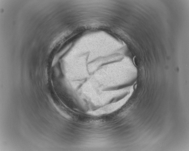 X0000074950638200609291848