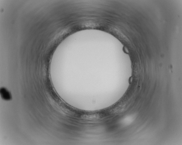 X0000074950639200609291848