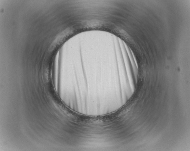 X0000074950640200609291848