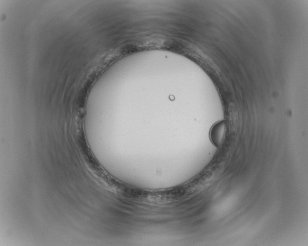 X0000074950641200609291848