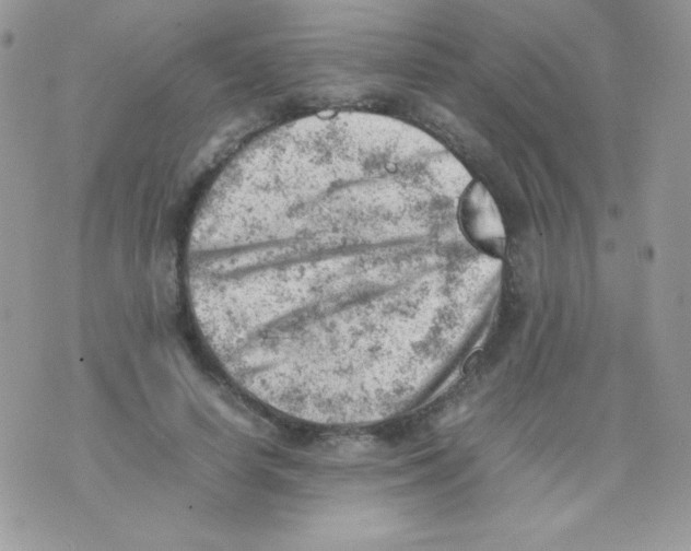 X0000074950642200609291848