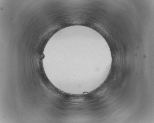 X0000074950643200609291848