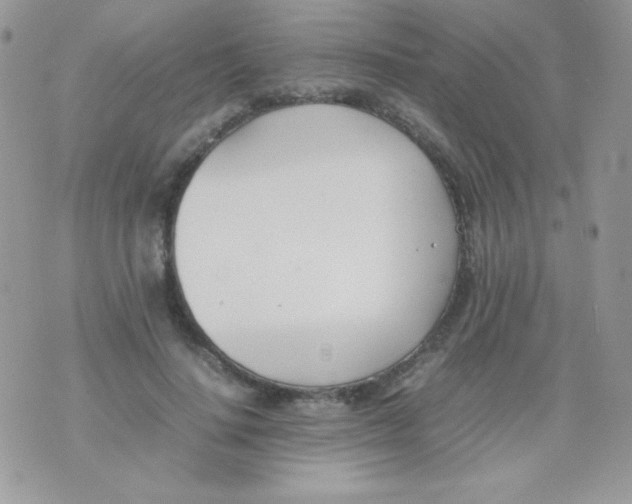 X0000074950644200609291848