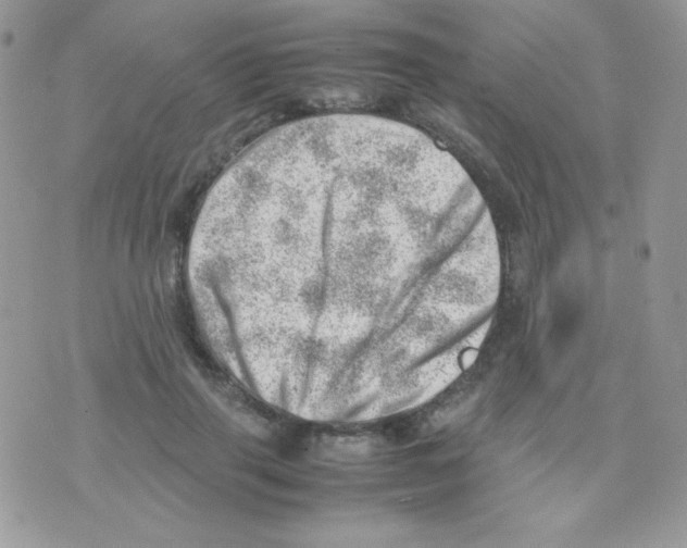 X0000074950645200609291848