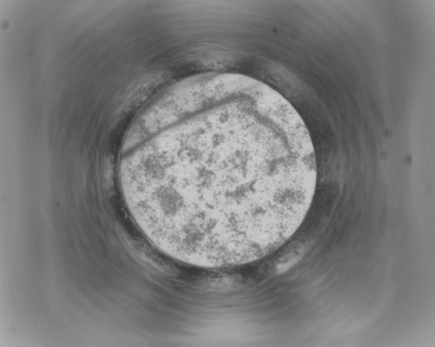 X0000074950646200609291848