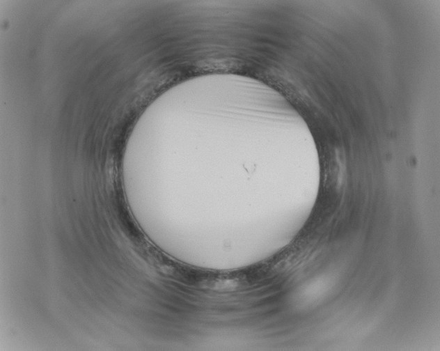 X0000074950647200609291848