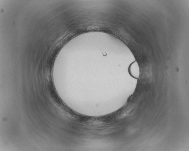 X0000074950648200609291848