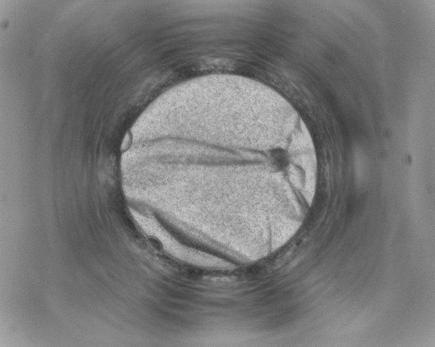 X0000074950649200609291848