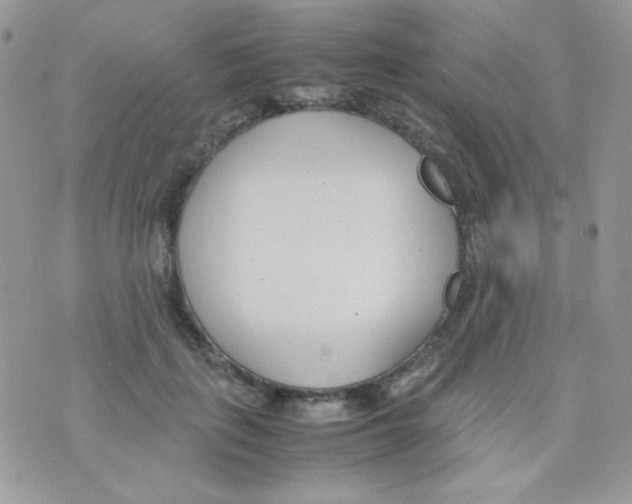 X0000074950651200609291848