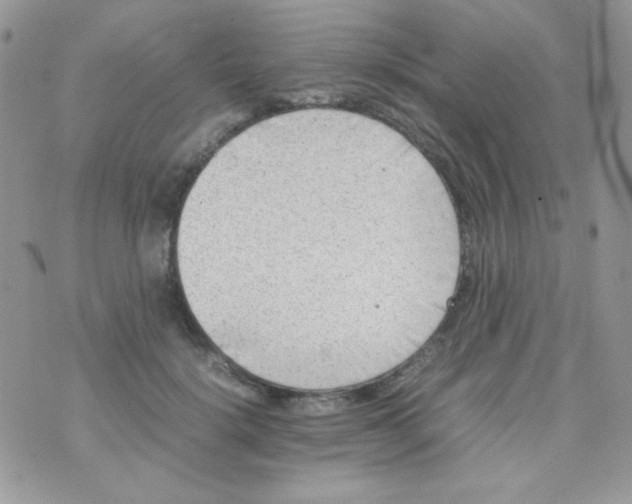 X0000074950652200609291848