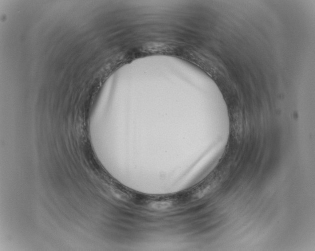 X0000074950653200609291848