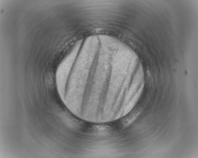 X0000074950654200609291848